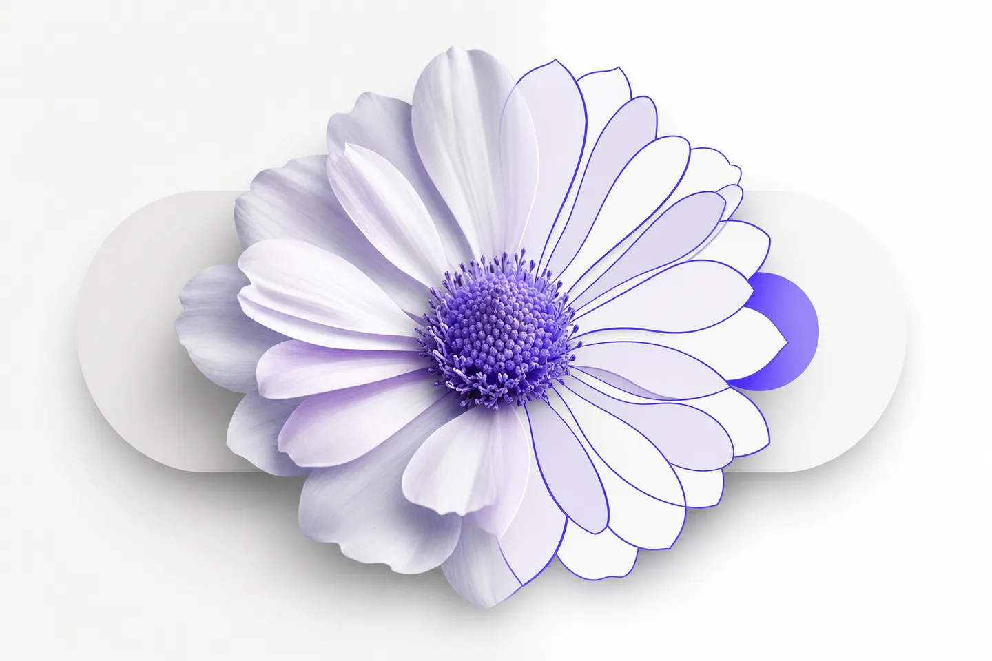 A photographic flower becoming flat vector petals via the AI image vectorizer